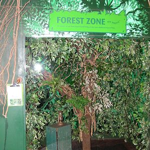 Jungle Nymph exhibit at Bristol 19/12/09