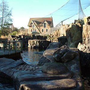 Fur Seal exhibit at Bristol 19/12/09