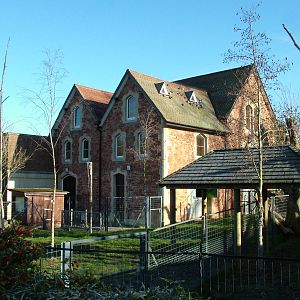 Gorilla and Okapi house at Bristol 19/12/09