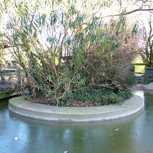 Former fur seal pool at Bristol 19/12/09
