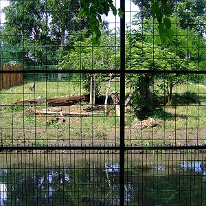 Hyena exhibit