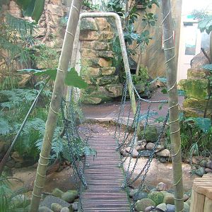 Forest of Birds at Bristol 19/12/09