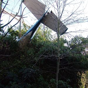 Lorikeet aviary at Bristol 19/12/09