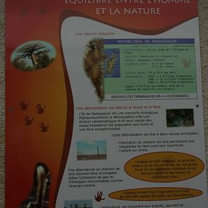 Zoo d'Asson - interpretation