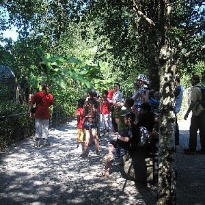 Zoo d'Asson - gibbon pathway in summer
