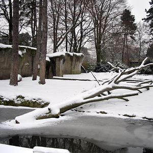 Bear enclosure at Hagenbeck