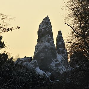 Rock at Hagenbeck