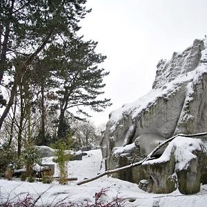 Himalayan exhibit at Hagenbeck