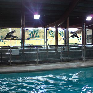 Splash Zone indoor viewing