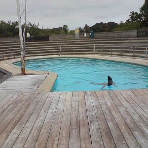 Spash Zone outdoor pool and viewing