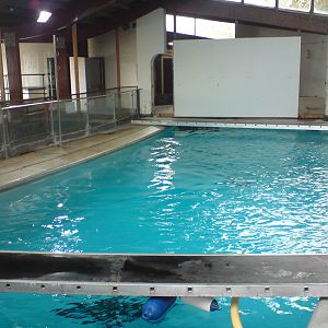 Splash Zone indoor pool