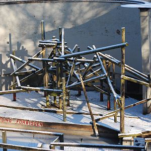 OUTDOOR ORANGUTAN AREA