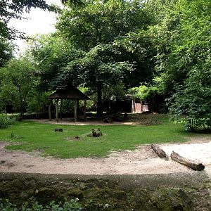 Duisburg Zoo - Australia (Outback)