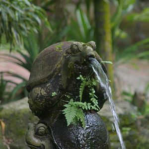 fountain at the KL Bird Park, August 2006