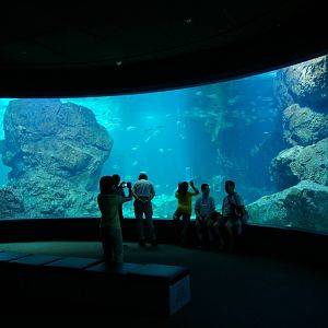 Siam Ocean World, Bangkok