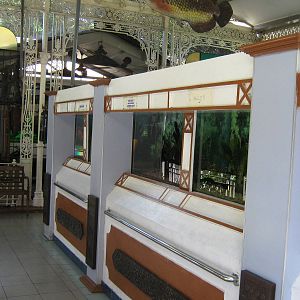 Kuching Aquarium