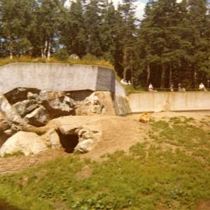 Old pictures - Borås Zoo in 1968