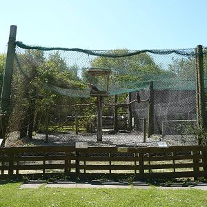 Welsh Hawking Centre