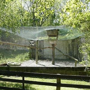 Welsh Hawking Centre ( former Barry Zoo )