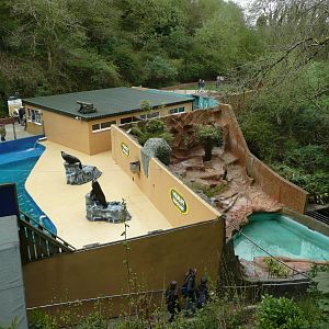 Sea-lion and Penguin Complex