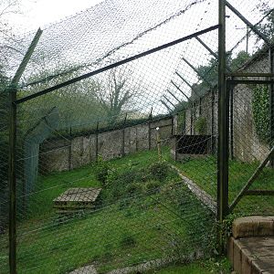 Former Snow Leopard Enclosure