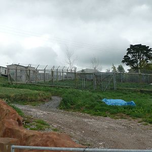 Off-show Wolf Enclosures