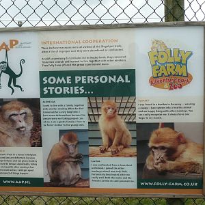 Barbary Macaque Enclosure Sign