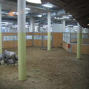 Savannah stables