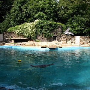 Duisburg Zoo - Sea lion exhibit