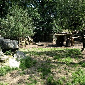 Duisburg Zoo - Wolf exhibit
