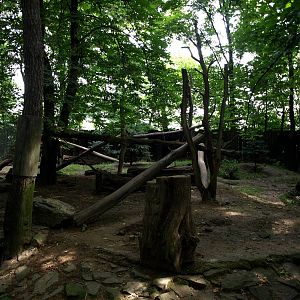Duisburg Zoo - Wolverine exhibit