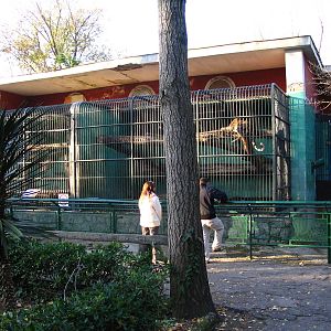 Giardino Zoologico Napoli