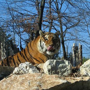 Giardino Zoologico Pistoia