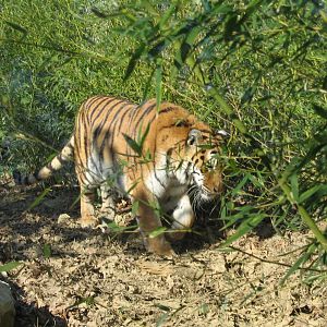 Giardino Zoologico Pistoia