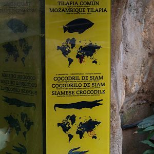 New terrarium info panels