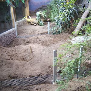 Komodo enclosure under conversion for Iguanas