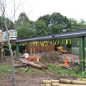 Visayan Warty Pig enclosure under construction