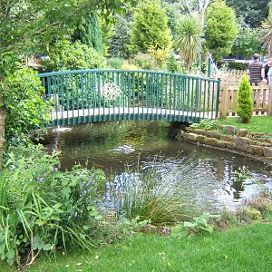 Black Swan enclosure