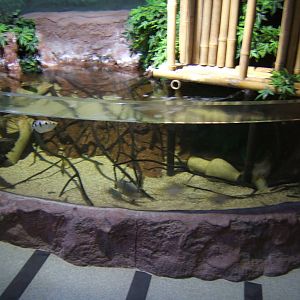 Weston-super-mare Seaquarium