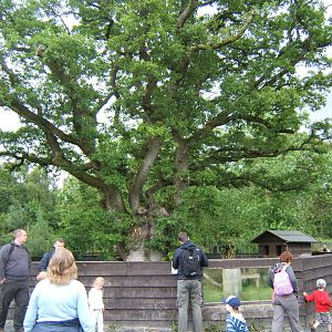 Trotters Animal World