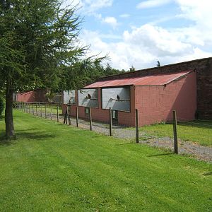 Lakeland Bird of Prey Centre