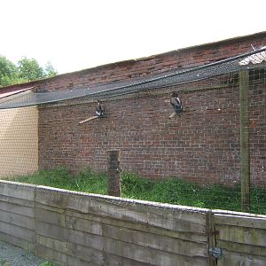 Lakeland Bird of Prey Centre