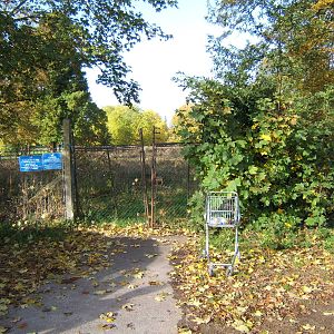 London Butterfly House