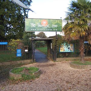 The Tropical Zoo,London