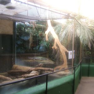The Tropical Zoo,London
