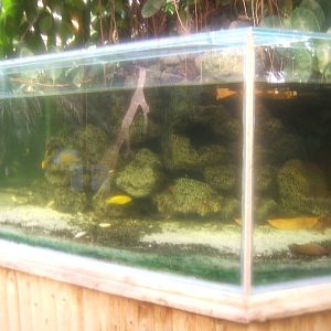 The Tropical Zoo,London