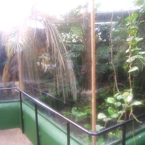 The Tropical Zoo,London