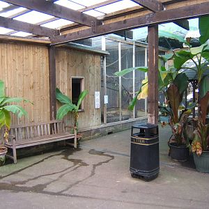 The Tropical Zoo,London