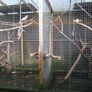 The Tropical Zoo,London