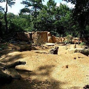 Duisburg Zoo - Meerkat exhibit